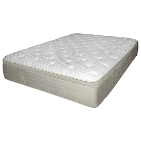 Queen Plush Coil on Coil Mattress